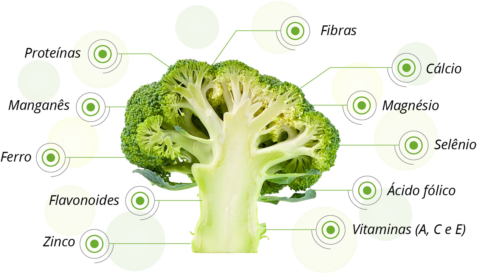 Benefícios para a Saúde – Paixão por Brócolis